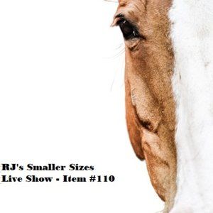 110 - Mossimo Supply Co. Long Sleeve Lightweight Sweater Size S Blue and Green